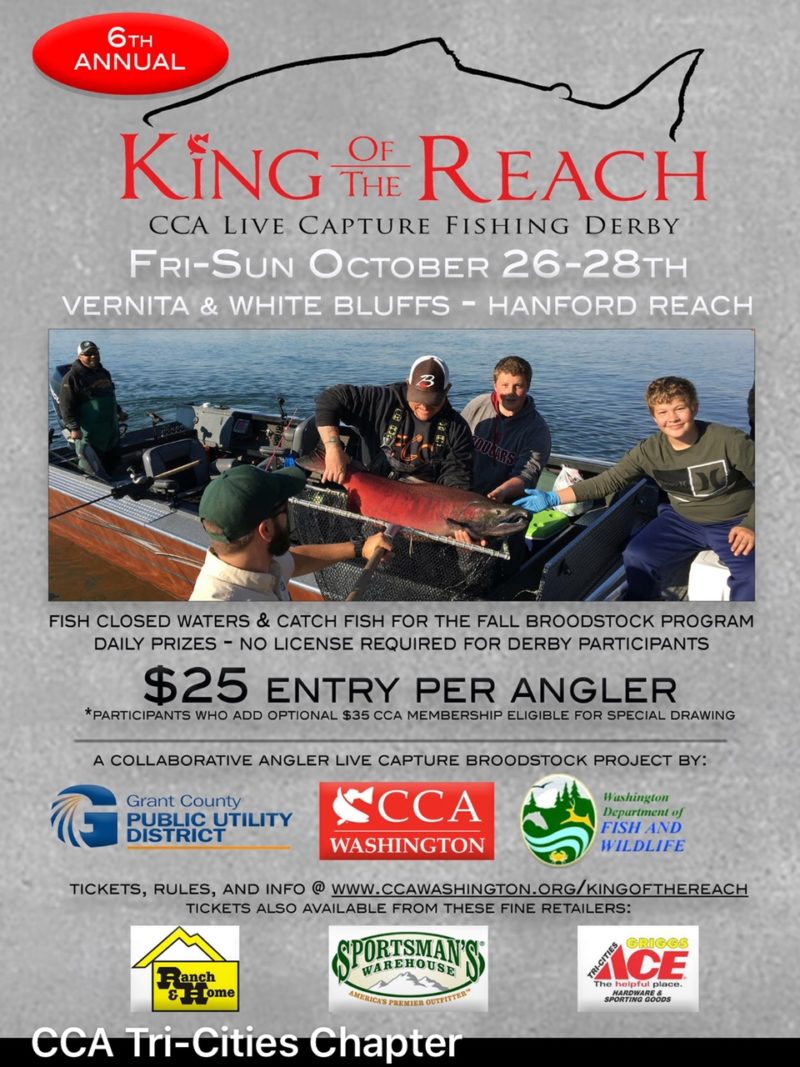 King of the Reach Live Capture Derby Fishers Catch Outfitters
